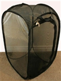 thumbnail image 2 of Butterfly Kit RESTCLOUD Insect And Butterfly Habitat Cage Terrarium Pop-up 12" X 14" Tall Monarch Butterfly Growing Kit 2 of 12