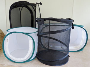 Popup Mesh Caterpillar Cages * Collapsible Net Butterfly Larvae